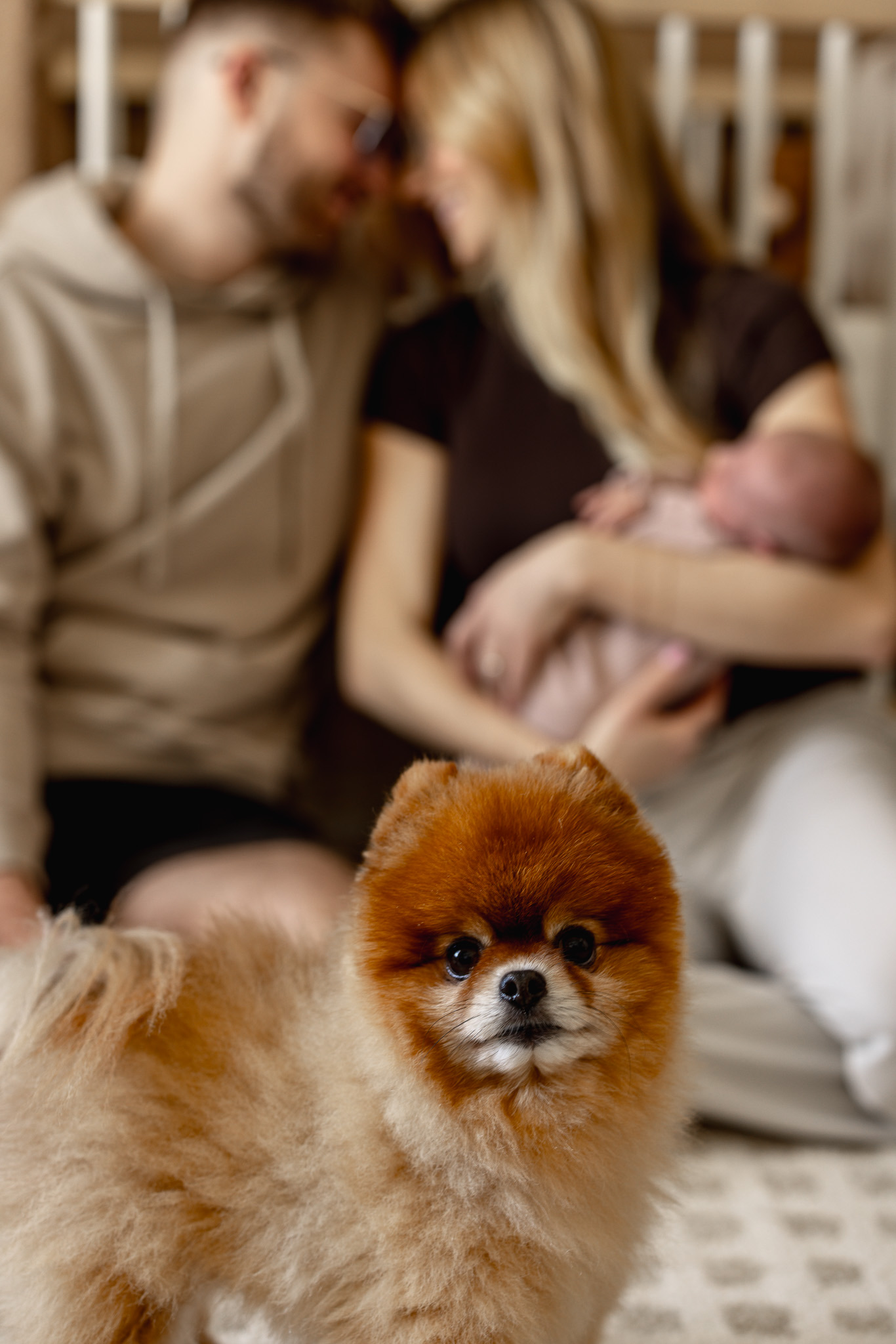 New parents cuddling their sleeping newborn on a sofa while their Pomeranian sits in front of them