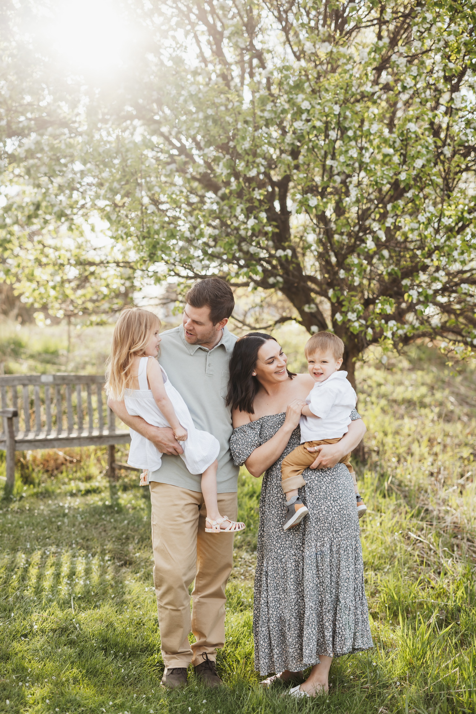 Family of four under a flowering tree with the sun behind them, dad holding their daughter and mom holding their son