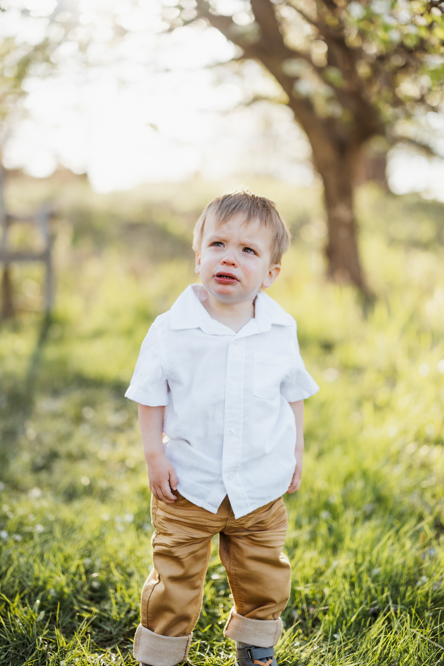 Toddler boy in a white shirt and tan pants standing in a sunny field